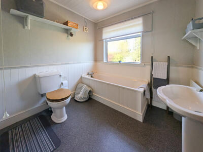 Picture 22